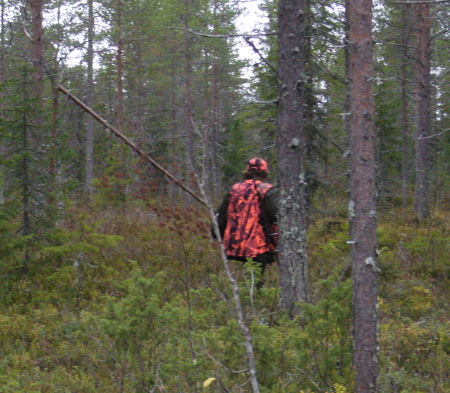 Vardag i jaktskogen