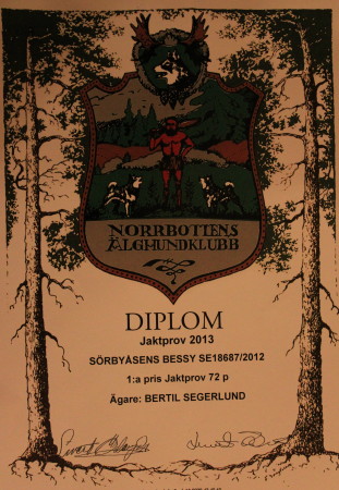 Diplom nr 1