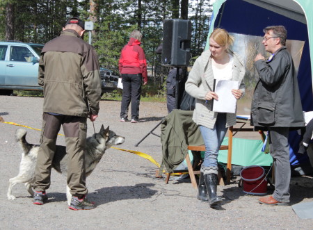 Bessy på utställning