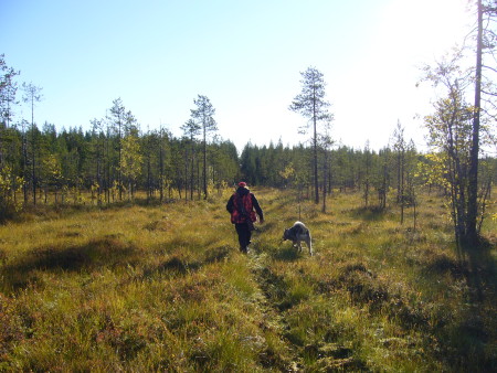 Margith och Phoenix på väg mot Ansamaa