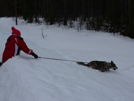 Bessy vill följa spår